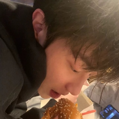 Furry写实风格绘画技巧福瑞群